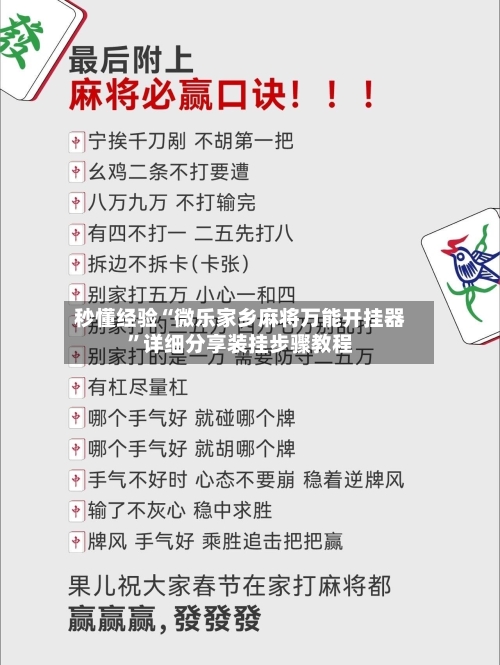秒懂经验“微乐家乡麻将万能开挂器”详细分享装挂步骤教程-第3张图片