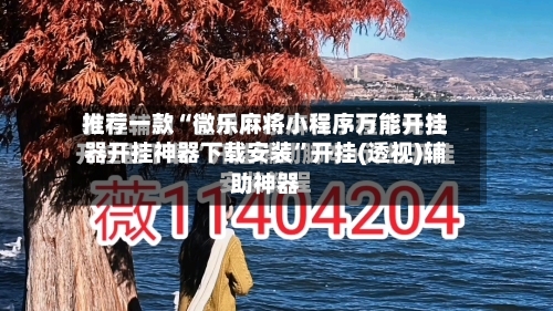 推荐一款“微乐麻将小程序万能开挂器开挂神器下载安装”开挂(透视)辅助神器-第2张图片