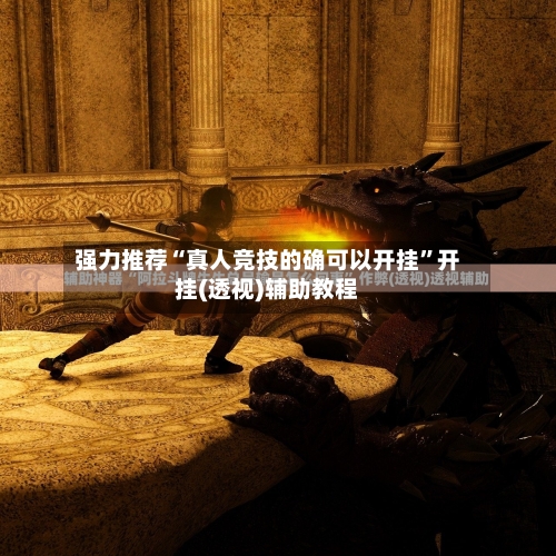 强力推荐“真人竞技的确可以开挂”开挂(透视)辅助教程-第2张图片