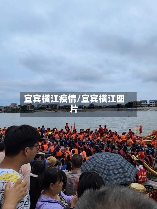 宜宾横江疫情/宜宾横江图片