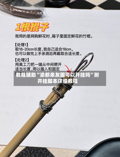 教程辅助“渝都亲友圈可以开挂吗”附开挂脚本详细教程-第3张图片