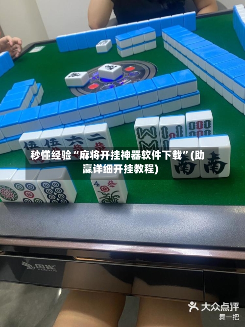 秒懂经验“麻将开挂神器软件下载”(助赢详细开挂教程)-第3张图片