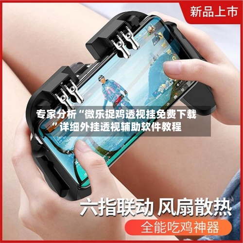 专家分析“微乐捉鸡透视挂免费下载”详细外挂透视辅助软件教程-第3张图片