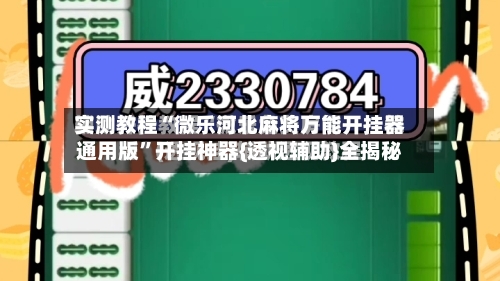 实测教程“微乐河北麻将万能开挂器通用版	”开挂神器{透视辅助}全揭秘-第2张图片