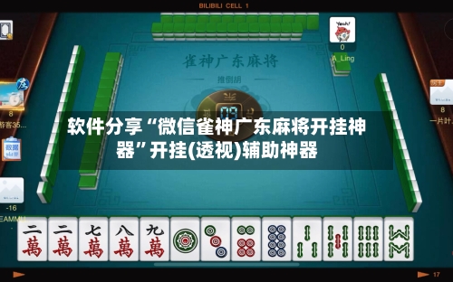 软件分享“微信雀神广东麻将开挂神器”开挂(透视)辅助神器-第2张图片