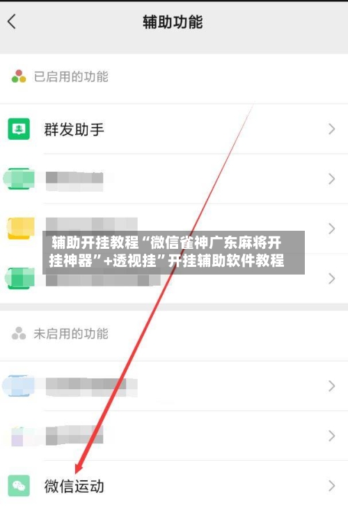 辅助开挂教程“微信雀神广东麻将开挂神器”+透视挂”开挂辅助软件教程-第2张图片