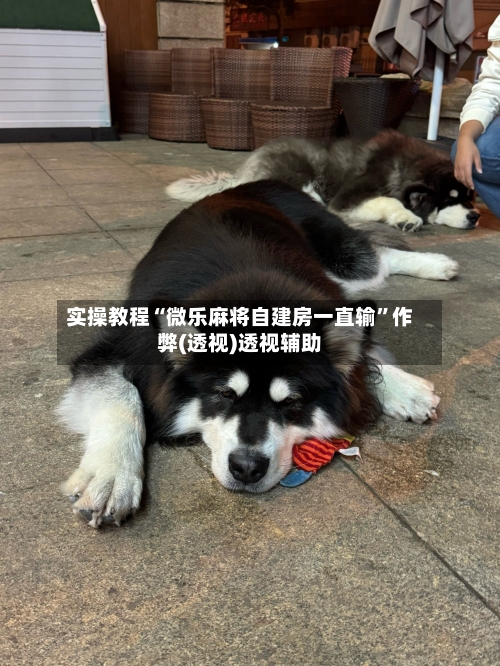 实操教程“微乐麻将自建房一直输	”作弊(透视)透视辅助-第2张图片