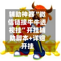 辅助神器“微信链接牛牛透视挂”开挂辅助脚本+详细开挂-第3张图片