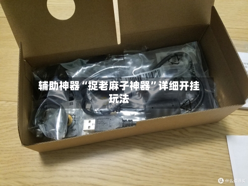 辅助神器“捉老麻子神器	”详细开挂玩法-第2张图片