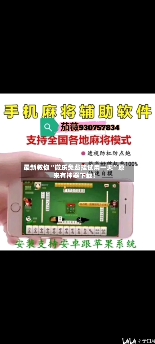 最新教你“微乐免费挂试用一天	”原来有神器下载！-第2张图片