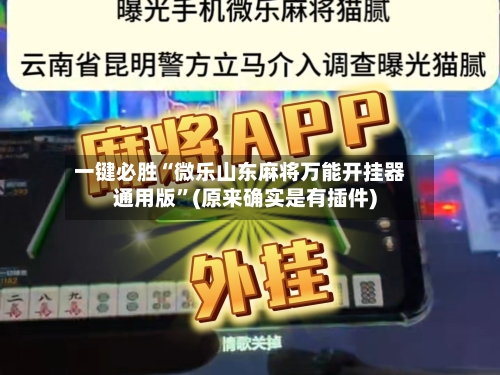 一键必胜“微乐山东麻将万能开挂器通用版”(原来确实是有插件)-第3张图片