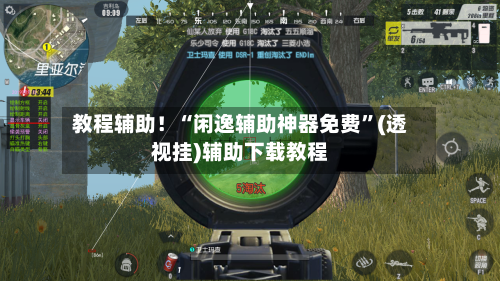 教程辅助！“闲逸辅助神器免费”(透视挂)辅助下载教程-第2张图片