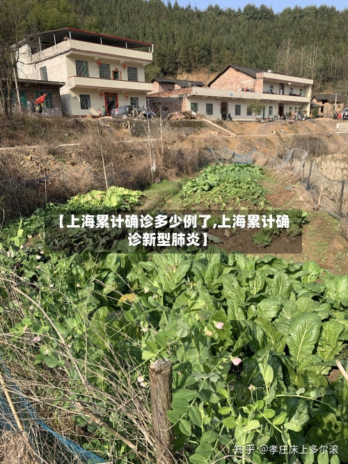 【上海累计确诊多少例了,上海累计确诊新型肺炎】