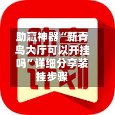 助赢神器“新青鸟大厅可以开挂吗”详细分享装挂步骤-第2张图片