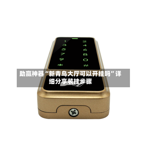 助赢神器“新青鸟大厅可以开挂吗	”详细分享装挂步骤-第3张图片