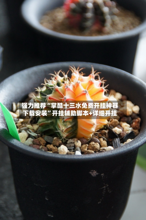 强力推荐“掌酷十三水免费开挂神器下载安装”开挂辅助脚本+详细开挂-第2张图片