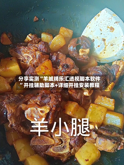 分享实测“羊城牌乐汇透视脚本软件”开挂辅助脚本+详细开挂安装教程
