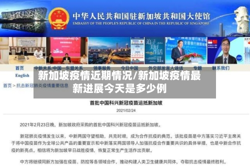 新加坡疫情近期情况/新加坡疫情最新进展今天是多少例-第3张图片