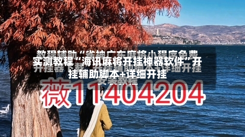 实测教程“海讯麻将开挂神器软件	”开挂辅助脚本+详细开挂-第3张图片