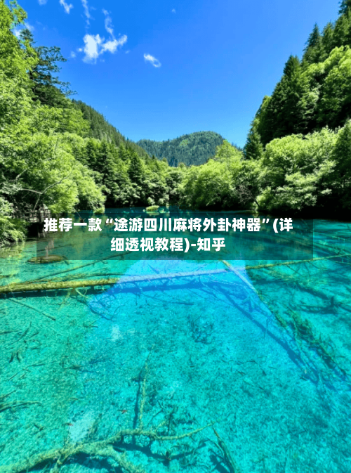 推荐一款“途游四川麻将外卦神器	”(详细透视教程)-知乎-第2张图片