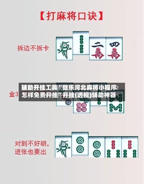 辅助开挂工具“微乐河北麻将小程序怎样免费开挂”开挂(透视)辅助神器