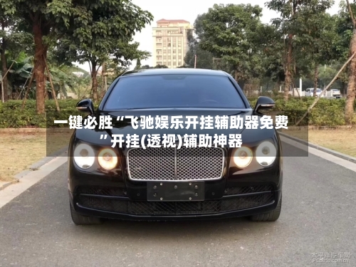 一键必胜“飞驰娱乐开挂辅助器免费”开挂(透视)辅助神器-第3张图片