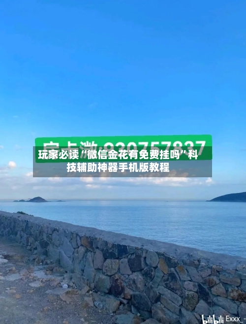 玩家必读“微信金花有免费挂吗”科技辅助神器手机版教程