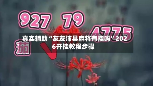 真实辅助“友友沛县麻将有挂吗”2026开挂教程步骤