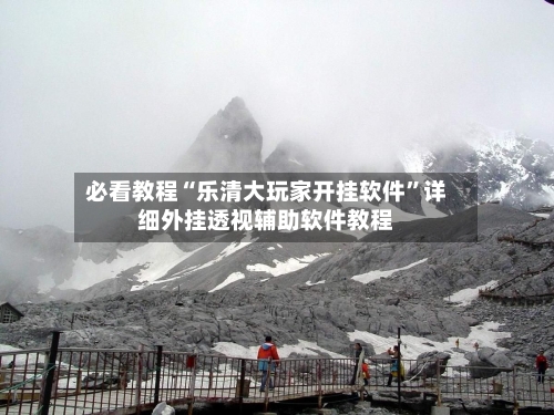 必看教程“乐清大玩家开挂软件”详细外挂透视辅助软件教程-第3张图片