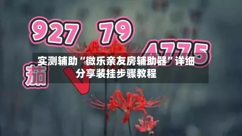 实测辅助“微乐亲友房辅助器	”详细分享装挂步骤教程-第2张图片