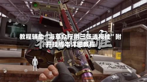 教程辅助“海草众厅拼三张透视挂	”附开挂脚本详细教程-第2张图片