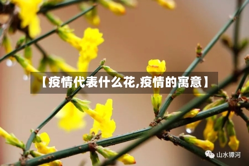 【疫情代表什么花,疫情的寓意】-第3张图片