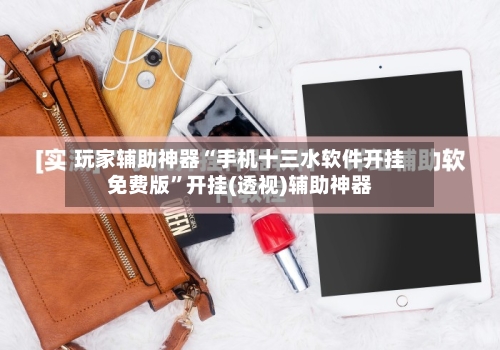 玩家辅助神器“手机十三水软件开挂免费版”开挂(透视)辅助神器-第3张图片
