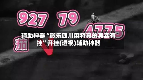 辅助神器“微乐四川麻将真的其实有挂”开挂(透视)辅助神器