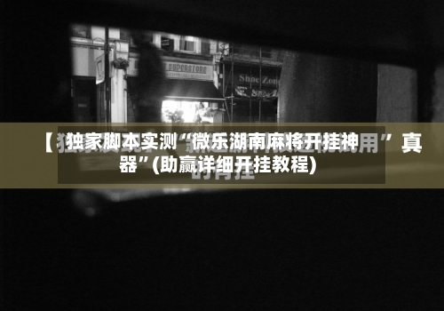 独家脚本实测“微乐湖南麻将开挂神器”(助赢详细开挂教程)-第3张图片