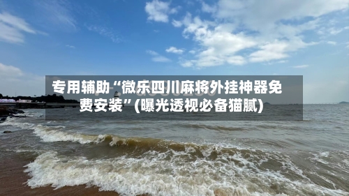 专用辅助“微乐四川麻将外挂神器免费安装	”(曝光透视必备猫腻)-第2张图片