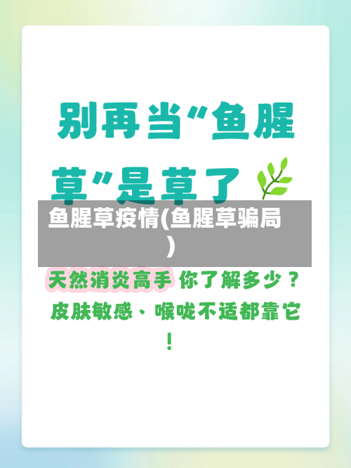 鱼腥草疫情(鱼腥草骗局)
