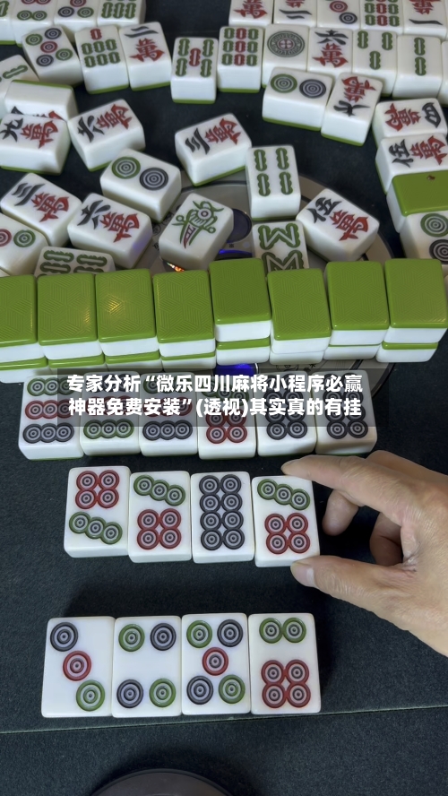 专家分析“微乐四川麻将小程序必赢神器免费安装”(透视)其实真的有挂-第3张图片