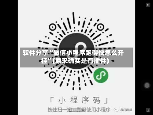 软件分享“微信小程序跑得快怎么开挂”(原来确实是有插件)-第3张图片
