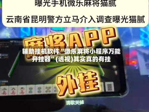 辅助挂机软件“微乐麻将小程序万能开挂器”(透视)其实真的有挂-第3张图片