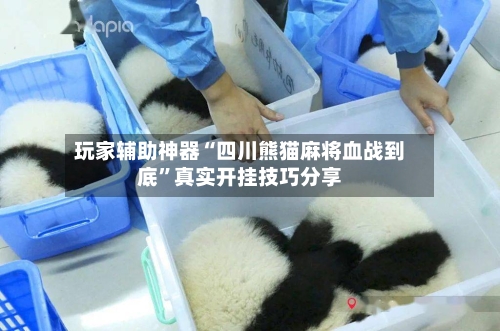 玩家辅助神器“四川熊猫麻将血战到底”真实开挂技巧分享