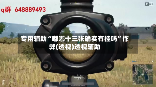 专用辅助“嘟嘟十三张确实有挂吗”作弊(透视)透视辅助-第2张图片
