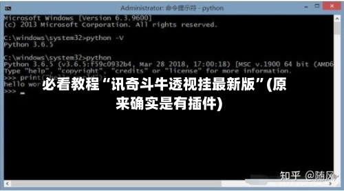 必看教程“讯奇斗牛透视挂最新版”(原来确实是有插件)-第2张图片