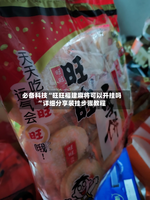 必备科技“旺旺福建麻将可以开挂吗”详细分享装挂步骤教程-第3张图片