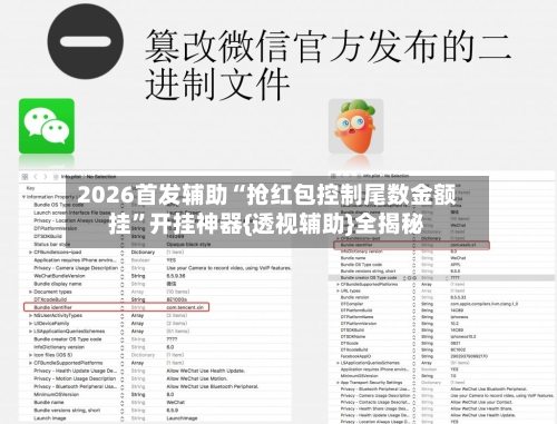 2026首发辅助“抢红包控制尾数金额挂”开挂神器{透视辅助}全揭秘-第2张图片