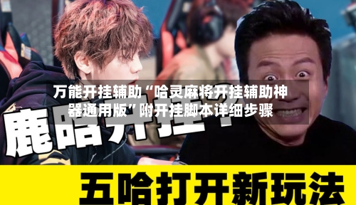 万能开挂辅助“哈灵麻将开挂辅助神器通用版”附开挂脚本详细步骤-第2张图片