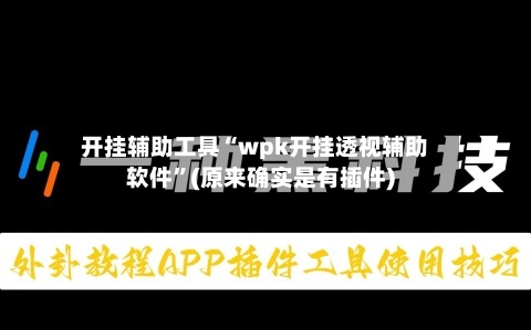 开挂辅助工具“wpk开挂透视辅助软件”(原来确实是有插件)-第2张图片
