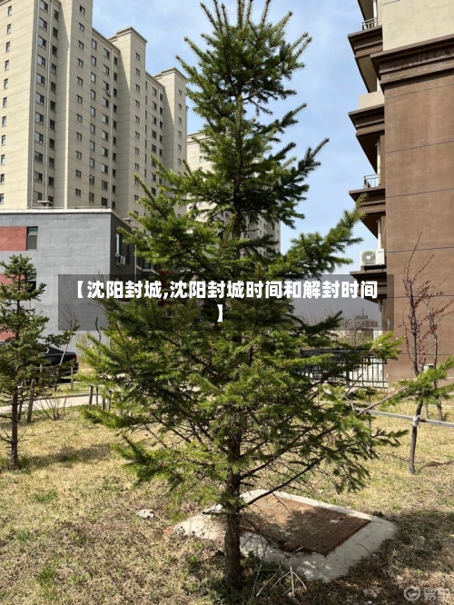 【沈阳封城,沈阳封城时间和解封时间】