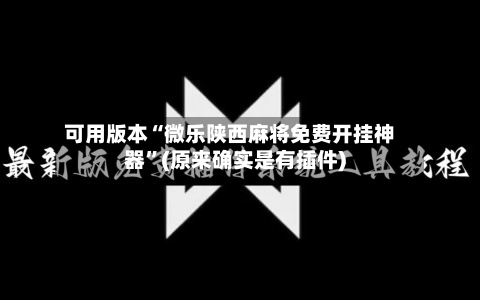 可用版本“微乐陕西麻将免费开挂神器”(原来确实是有插件)-第2张图片