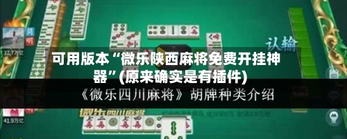 可用版本“微乐陕西麻将免费开挂神器”(原来确实是有插件)